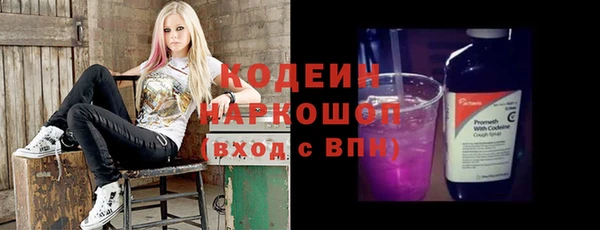 дурь Лабытнанги