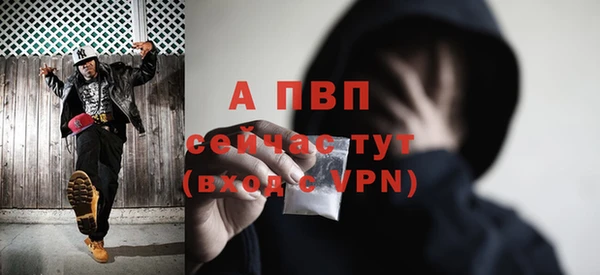 дмт Ладушкин