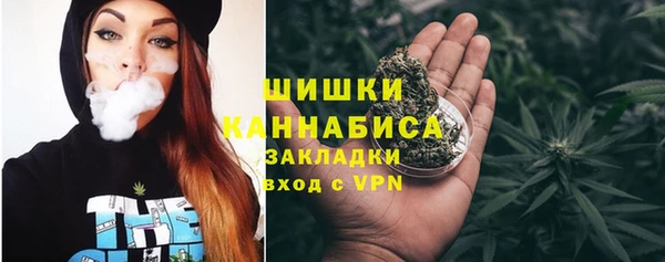 дмт Ладушкин