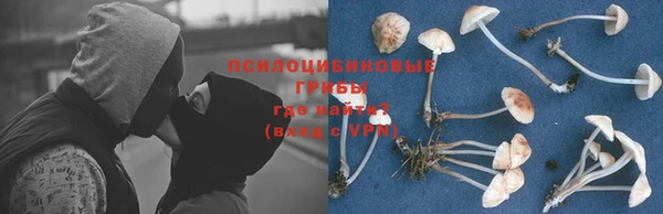 дмт Ладушкин