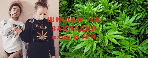 дурь Лабытнанги