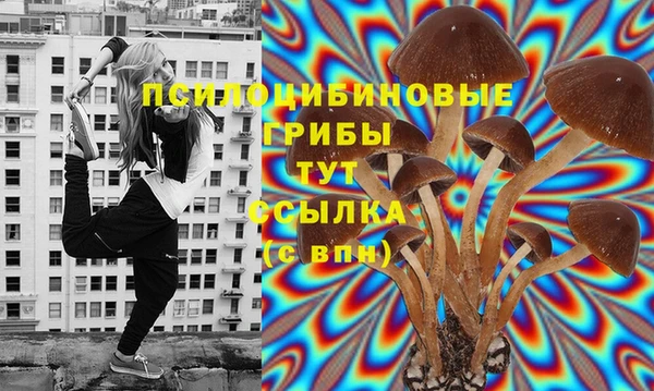 дмт Ладушкин